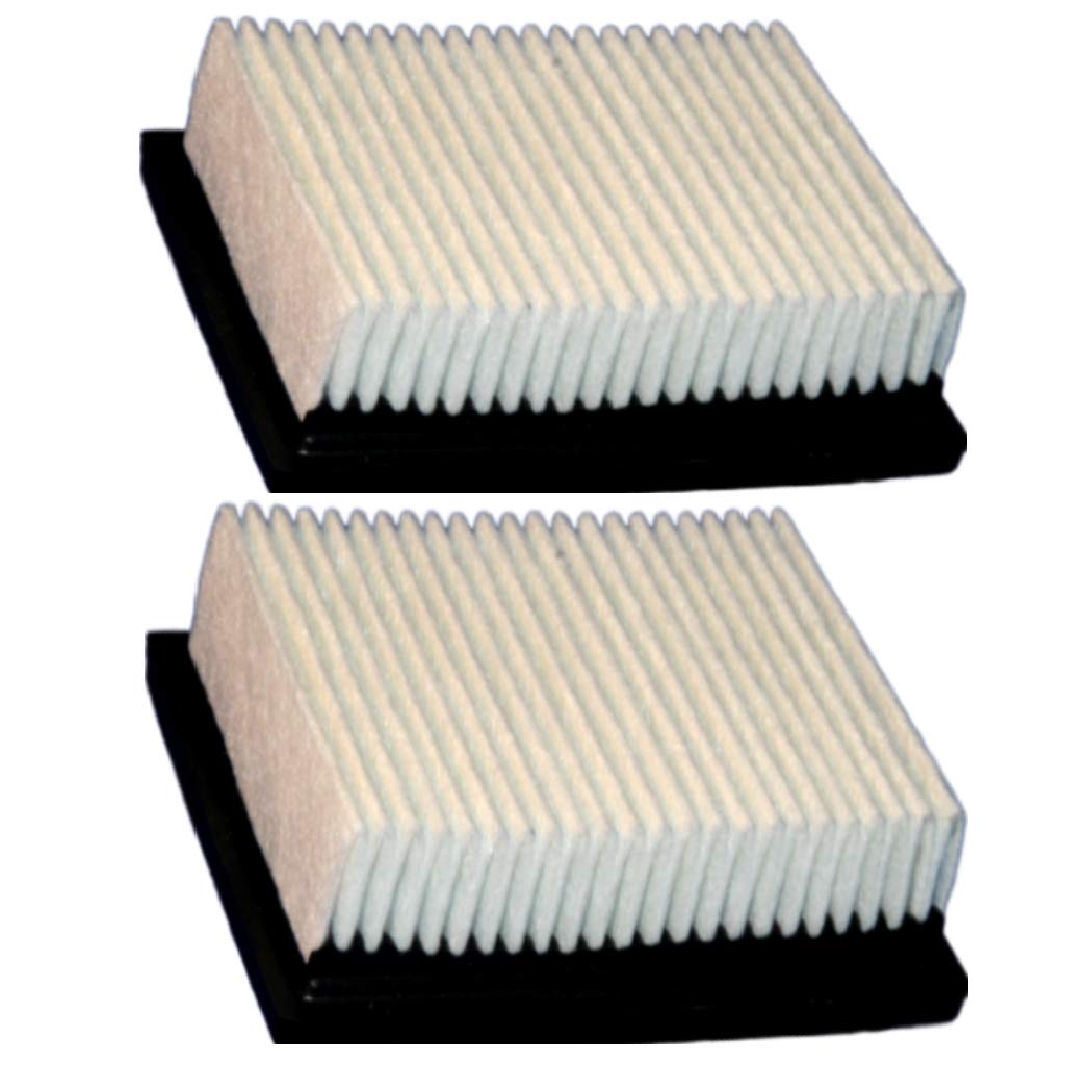 Dust Panel Filter - Quantity 2 - Part 1037822 - Tennant/Nobles Replacement